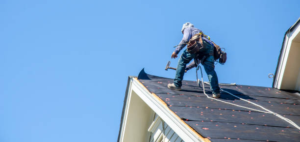 Best Roof Gutter Cleaning  in Smithville, MO